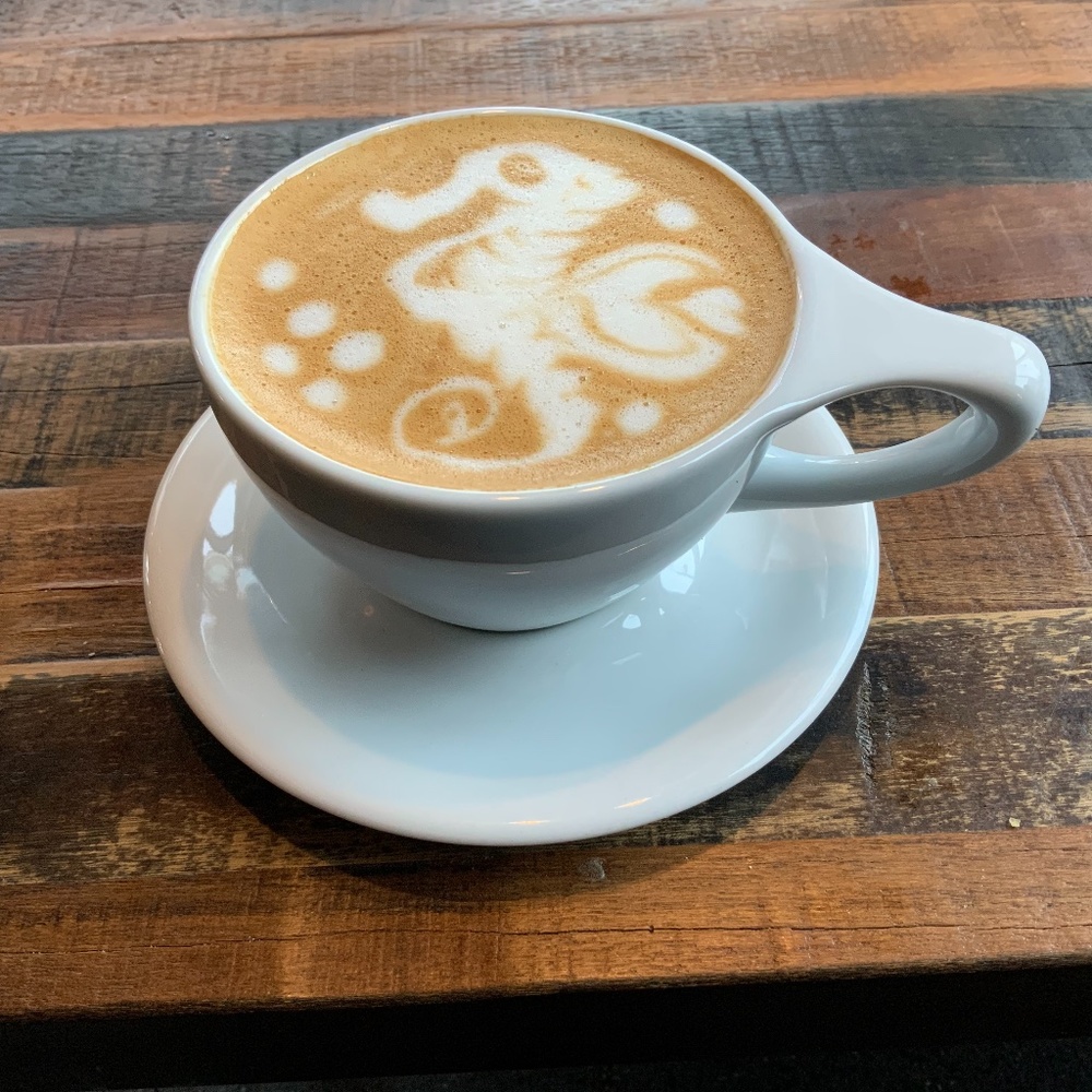 Meet your Posher, Willow